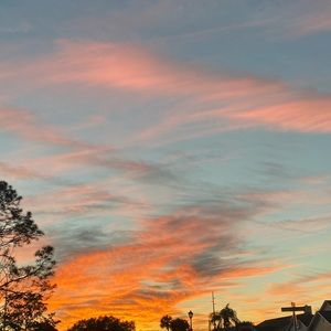 Meet your Posher, Dionne